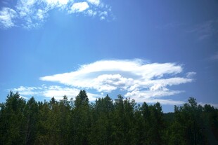 蓝天绿树间的悠然景致