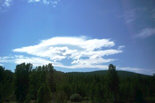 蓝天绿树间的白云美景