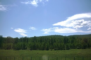 蓝天白云下的葱郁山林