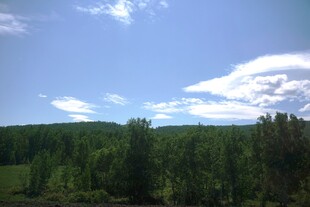 蓝天白云下的葱郁山林