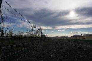 田野上空的多云景象