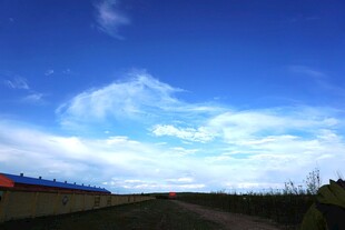 蓝天旷野间的宁静之路