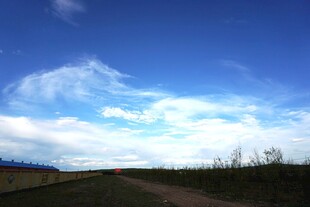蓝天白云下的开阔原野