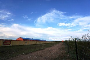 田野间的公路与多彩建筑