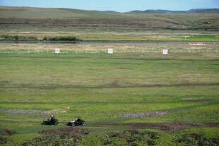 草原风光 车辆穿行其间