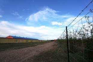 乡村土路旁的带刺铁丝网