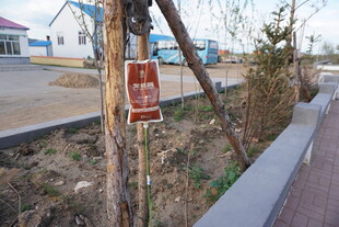 路边树木旁的红色标识牌