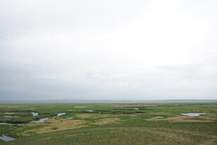 广袤原野间的蜿蜒溪流