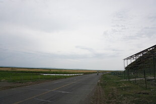 空旷公路旁的开阔田野