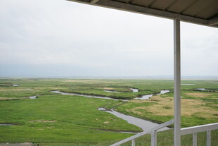 俯瞰广袤绿野中的蜿蜒小路