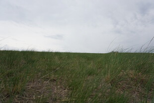 广袤草原上的天空与草地