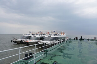 码头边停靠的多艘白色船只