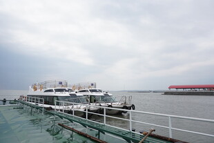 码头停靠的多艘船只