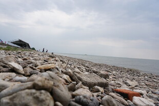 海边碎石滩 宁静自然景