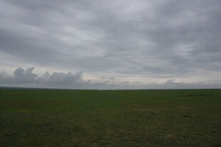 草原上空的阴云密布