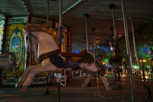 旋转木马上的梦幻时光