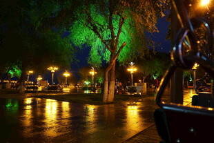 雨夜公园的静谧灯光景色