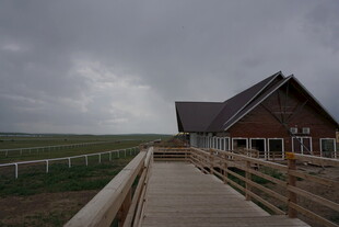 草原木屋旁的木质栈道