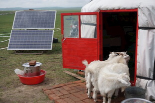 蒙古包外的太阳能与羊群