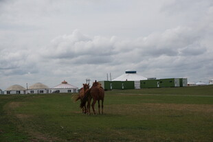 草原上的骑马场景
