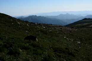 山间绿野远眺壮阔景致