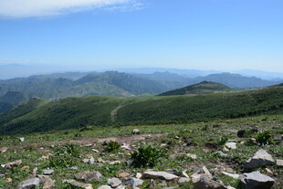高山绿野风景