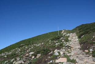 山间石径 绿意盎然