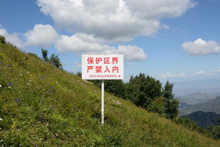 山坡上的禁止放牧标识