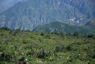 山间绿野 自然美景如画