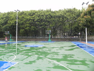 户外绿色塑胶篮球场