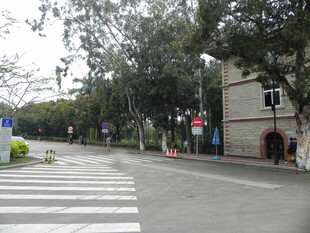 城市街道的行人过街场景