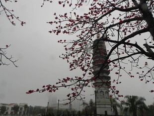 古塔旁绽放的艳丽花枝