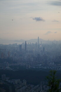 雾中城市天际线景观