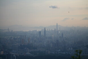 雾中城市天际线景观