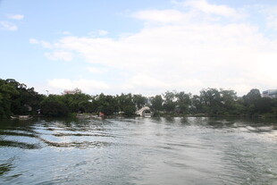 河畔风光 水波与绿树相映