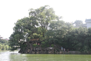 湖中小岛绿树成荫