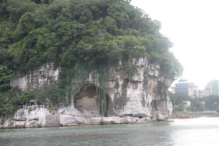 江边覆绿岩石景观