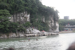 江边峭壁绿植景观