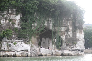 江边峭壁绿植覆盖景观