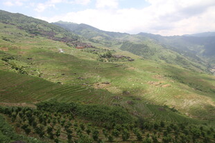 青山绿野间的自然美景