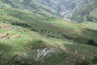 山间绿野梯田美景