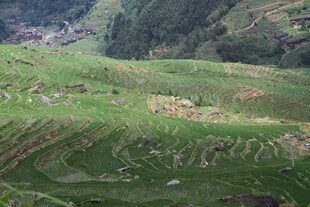 翠绿梯田 山间田园美景