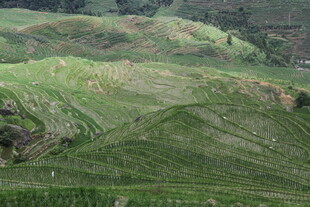 翠绿山峦田园风光美景
