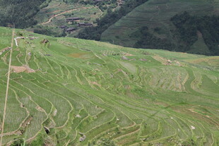 翠绿梯田 山间田园美景