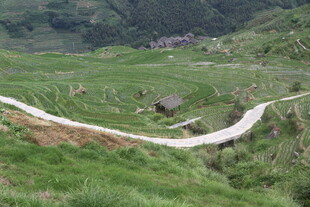 山间蜿蜒小路 绿意盎然