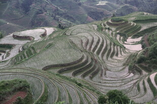 壮观的梯田景观