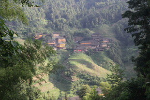 山间村落隐于葱郁绿意中