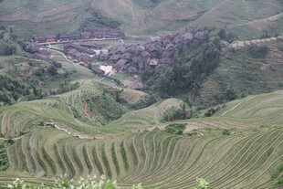 龙脊梯田壮美风光