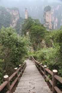 山间木栈道 绿意环绕美景