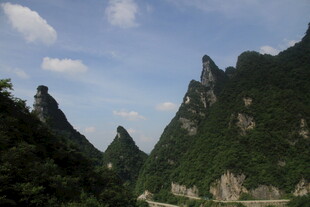 秀丽山峦 绿意盎然的景致